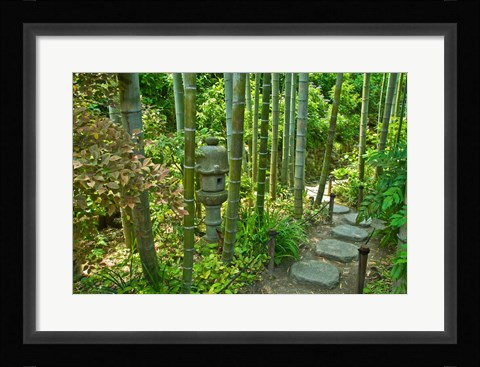 Framed Hasedera-Bamboo Grove Print