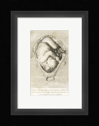 Framed William Hunter Print