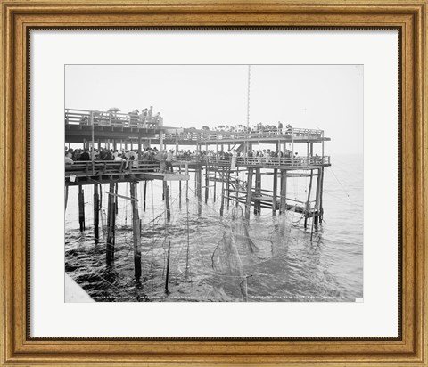 Framed Hauling the Nets, Young&#39;s Pier, Atlantic City, NJ Print
