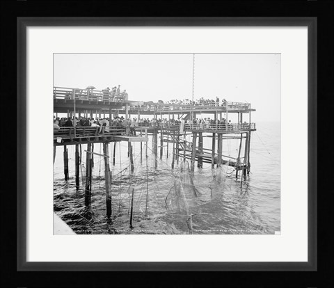 Framed Hauling the Nets, Young's Pier, Atlantic City, NJ Print