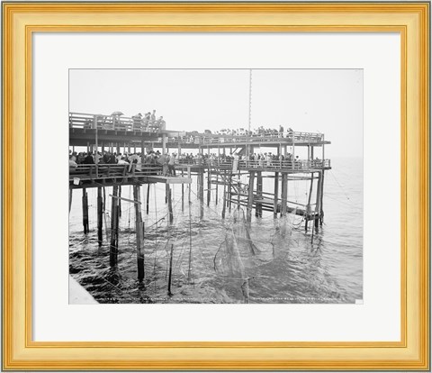 Framed Hauling the Nets, Young&#39;s Pier, Atlantic City, NJ Print