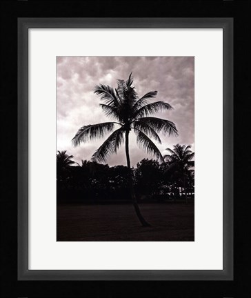 Framed Palms At Night II Print