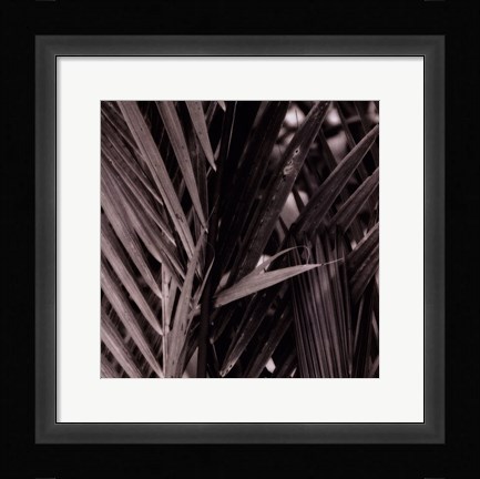 Framed Bamboo Study I Print