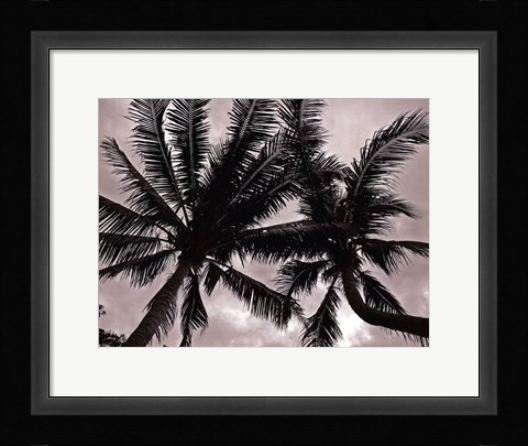 Framed Palms At Night V Print