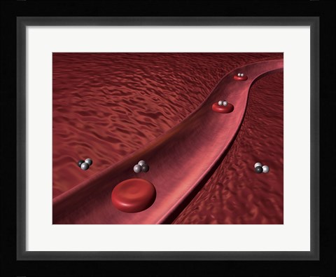 Framed Close-up of red blood cells Print