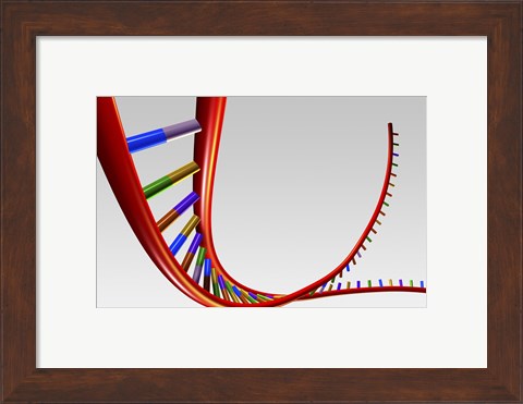 Framed Close-up of a human DNA structure Print