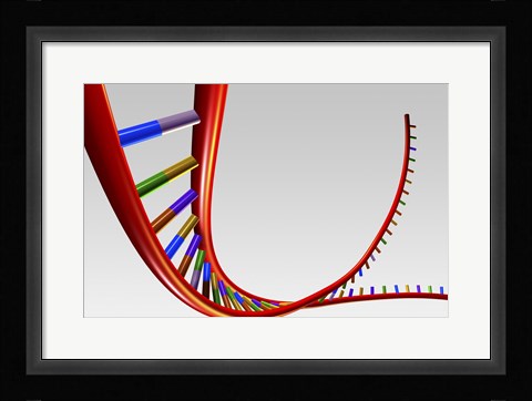 Framed Close-up of a human DNA structure Print