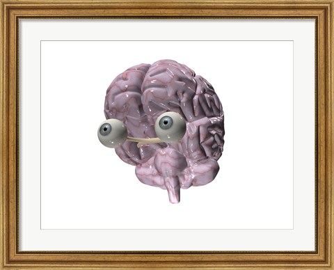 Framed Close-up of a human brain with eye balls Print