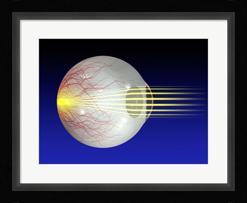 Framed Close-up of the human eyeball Print