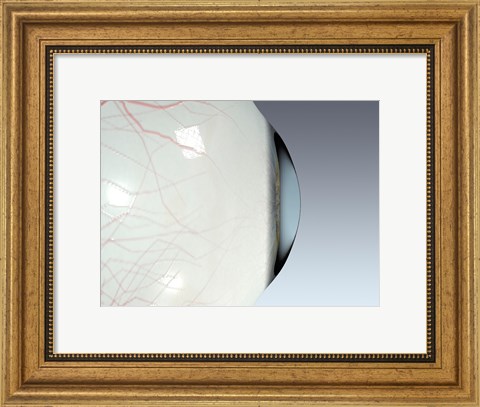 Framed Close-up of the human eyeball side view Print