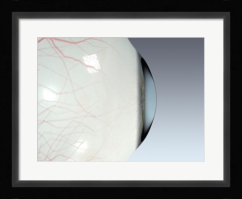 Framed Close-up of the human eyeball side view Print