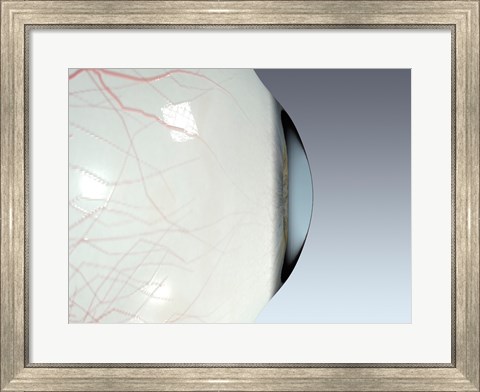 Framed Close-up of the human eyeball side view Print