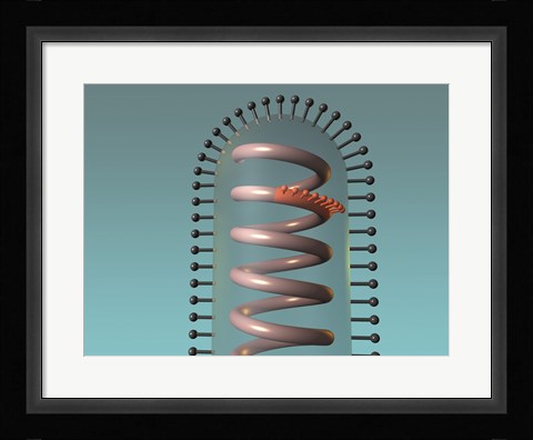 Framed Close-up of antigens produced in the human cell Print
