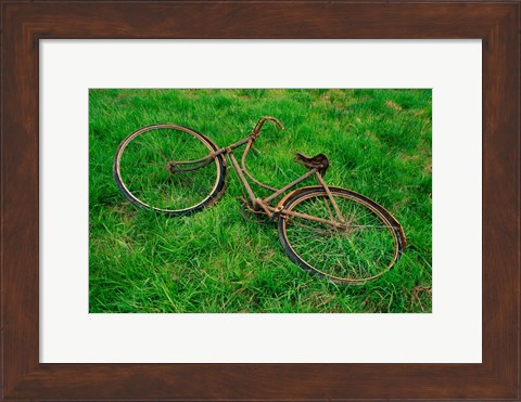 Framed High angle view of an old bicycle Print