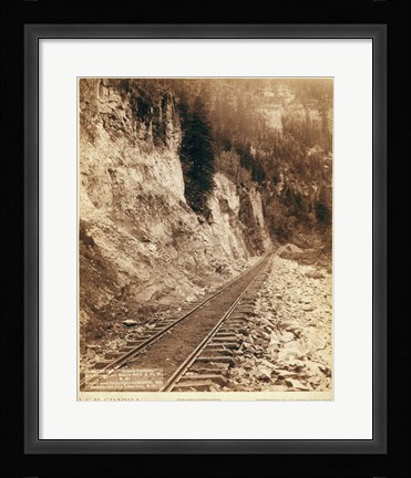 Framed Grand Canyon Elk Canyon on Black Hills Print