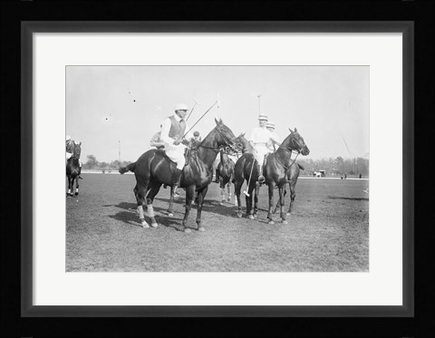 Framed Polo Brown Lieut Palmes Print