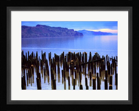 Framed Wooden posts in water, Columbia River, Washington, USA Print