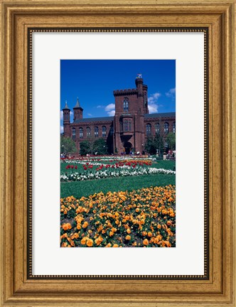 Framed Formal garden in front of a museum, Smithsonian Institution, Washington DC, USA Print