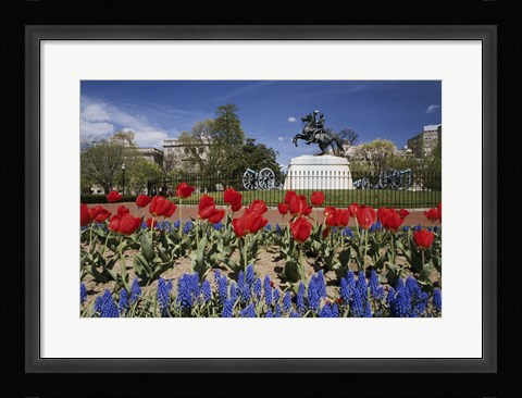Framed Andrew Jackson Statue, Washington D.C., USA Print
