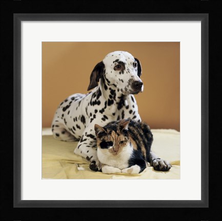 Framed Dalmatian and Cat Print