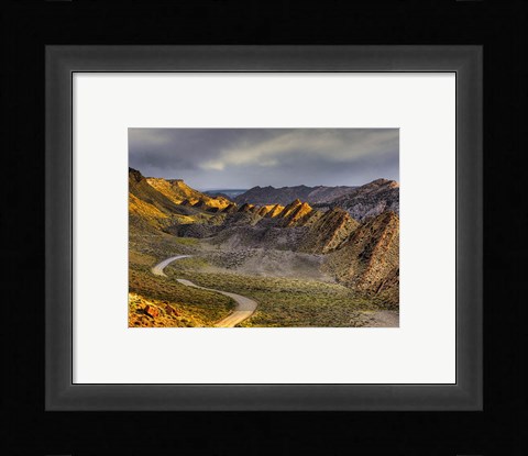 Framed Cockscomb cottonwood Print