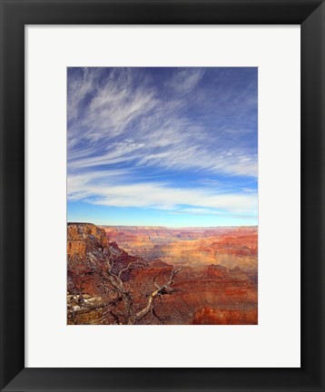 Framed Grand Canyon Arizona Print