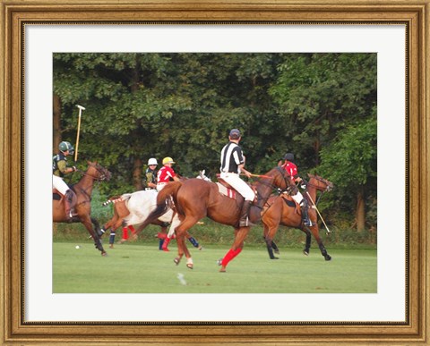 Framed Polo Umpire Print
