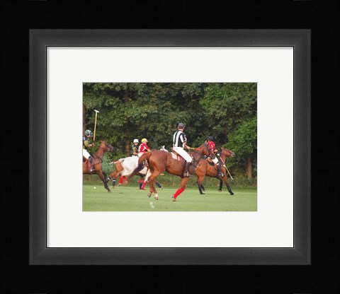 Framed Polo Umpire Print