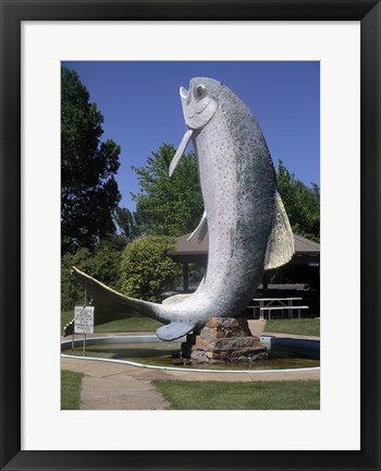 Framed Adaminaby big trout Print