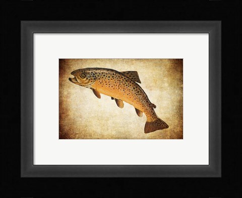Framed Brown Trout II Print