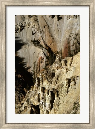 Framed Grand Canyon of the Yellowstone River Yellowstone National Park Wyoming USA Print