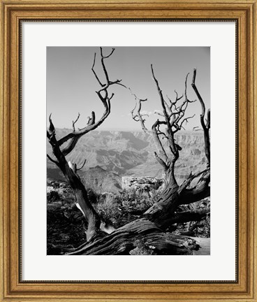 Framed USA, Arizona, Grand Canyon, Colorado River seen from South Rim Print
