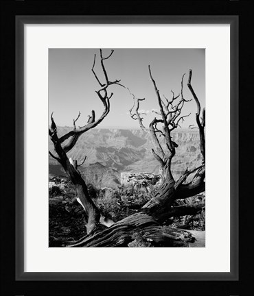 Framed USA, Arizona, Grand Canyon, Colorado River seen from South Rim Print