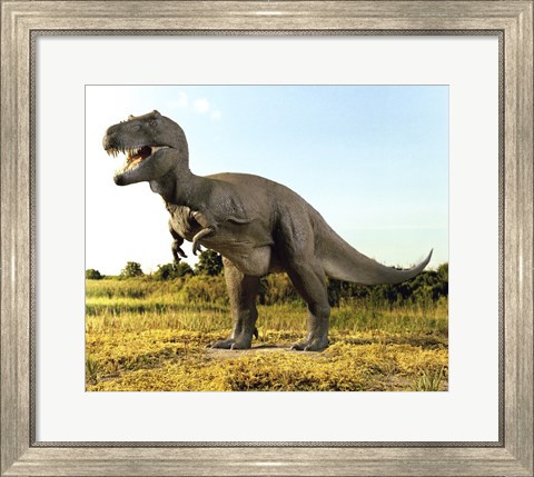 Framed Close-up of a tyrannosaurus rex standing in a field Print