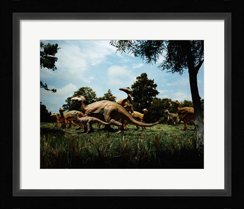 Framed Herd of Anatosaurus Print