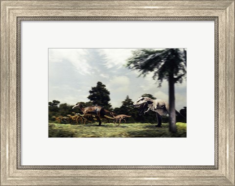 Framed Side profile of a tyrannosaur attacking a group of anatosaurus Print