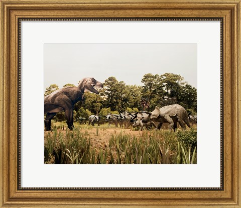 Framed Tyrannosaur standing in front of a group of triceratops in a field Print