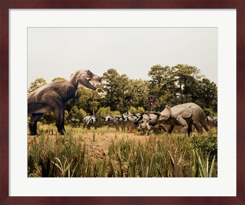 Framed Tyrannosaur standing in front of a group of triceratops in a field Print