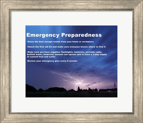 Framed Emergency Preparedness Print