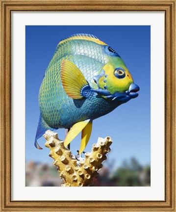 Framed Fish carving, Florida Keys Print