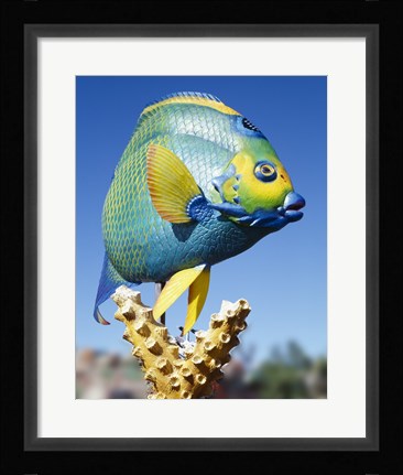 Framed Fish carving, Florida Keys Print