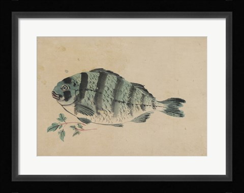 Framed Fish Print