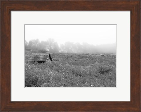 Framed In the Fog Print