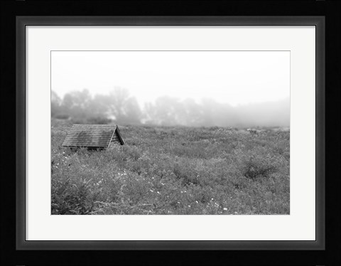 Framed In the Fog Print