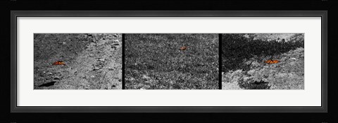 Framed Fight or Flight Print