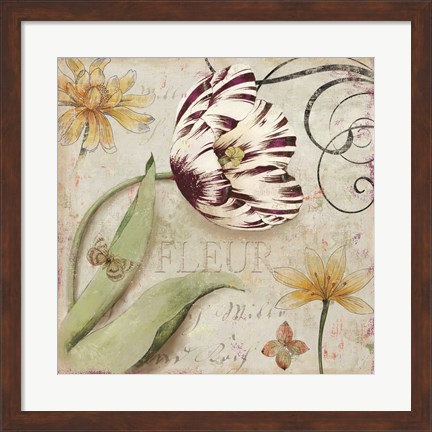 Framed Tulipa I Print