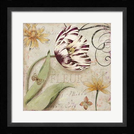 Framed Tulipa I Print