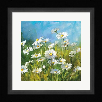 Framed Summer Field II Print