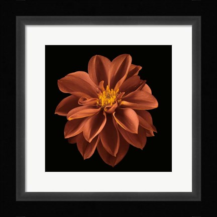 Framed Four Keeps I Print