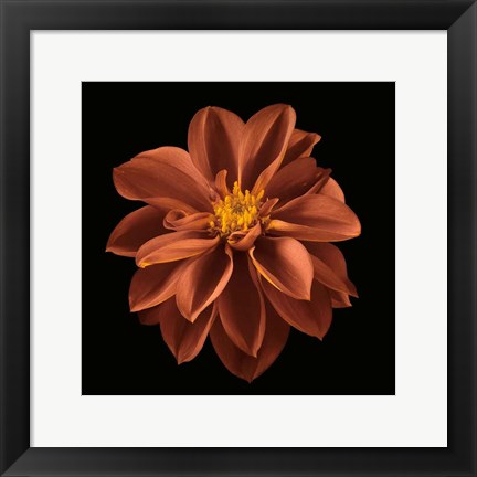 Framed Four Keeps I Print